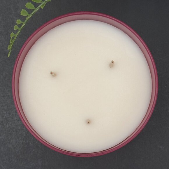 BBW Cranberry & Pomegranate White Barn Bath & Body Works 3 Wick Candle - Picture 7 of 10